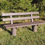 Taunus Forest Bench with back