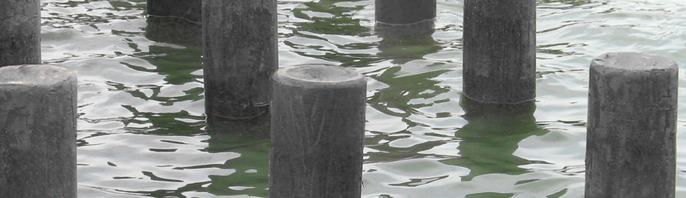 Marine Piles
